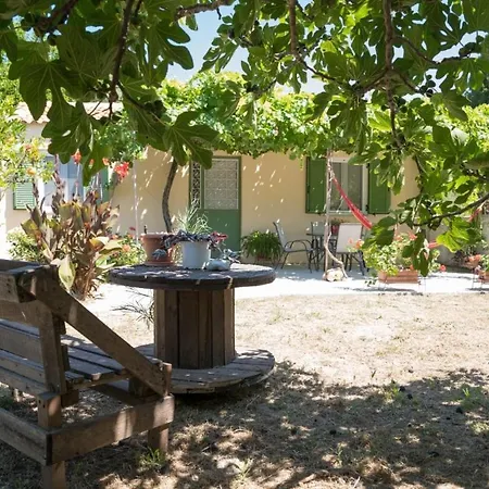 Joya's Little Farm Svoronata