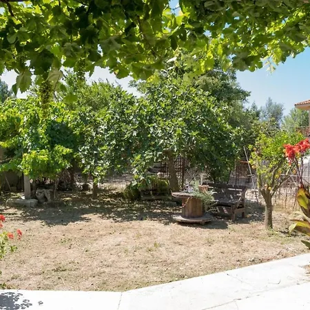 Joya's Little Farm