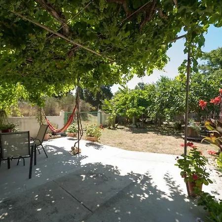 Joya's Little Farm *